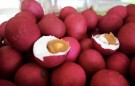 Salted egg 6pk  thumbnail