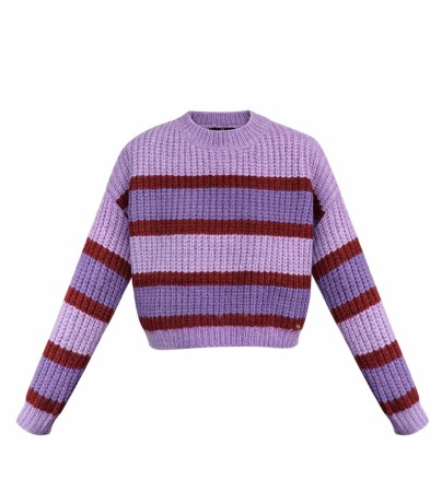 Knitted stripe sweater- Purple