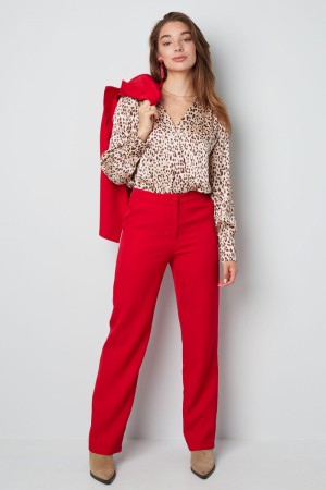 Basic plain trousers taupe red