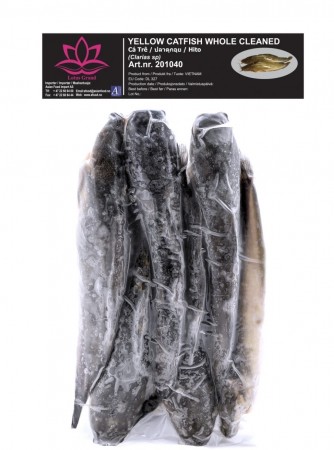 LOTUS Yellow catfish whole clean 1kg