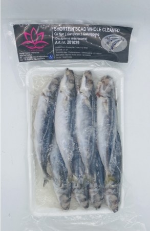 (GALUNGGONG) LOTUS  Shortfin Scad Whole Cleaned 800g 