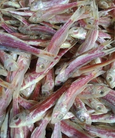 Cebu dried fish redsal 250g