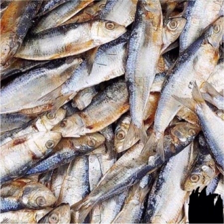 Cebu dried fish tuyo 250g