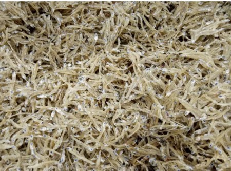 Cebu Dried fish-small dilis 50g