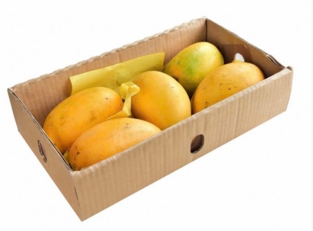 Mango honning ca . 1,5kg