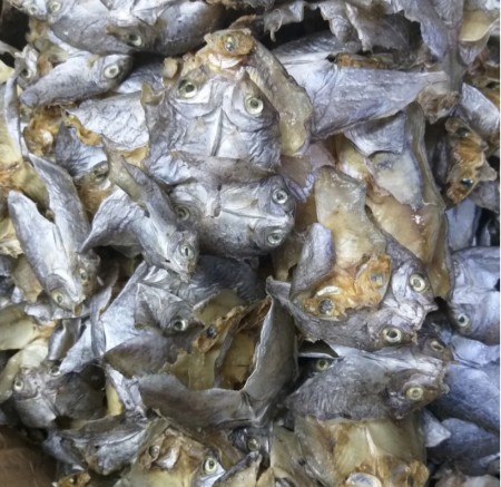 Cebu dried fish- danggit 50g